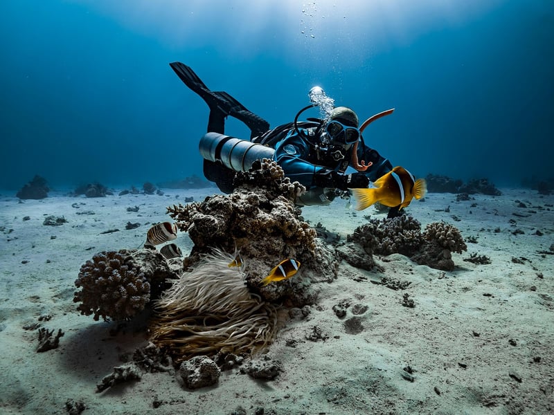 Deep Sea Exploration